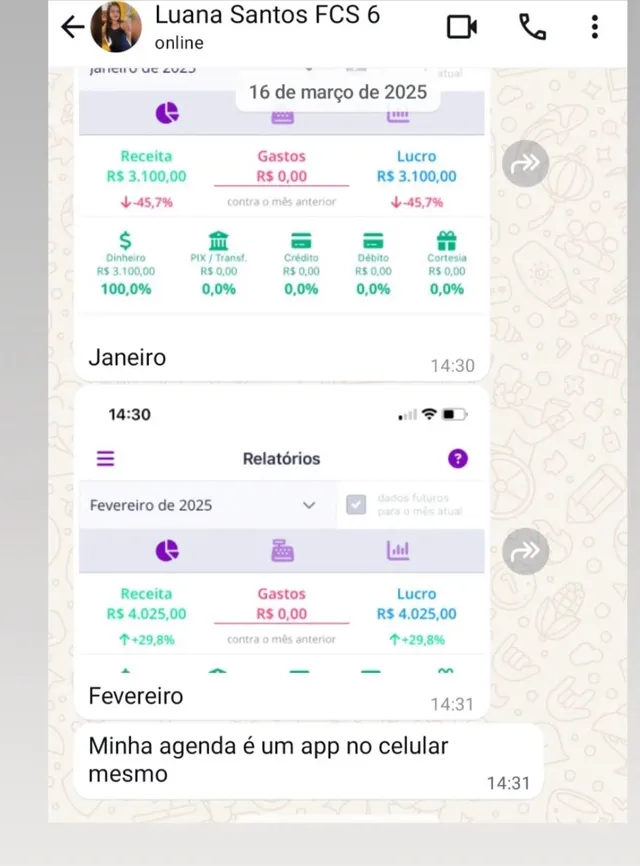 Print de conversa de WhatsApp: depoimento de Luana Santos, aluna Fature com Sobrancelhas